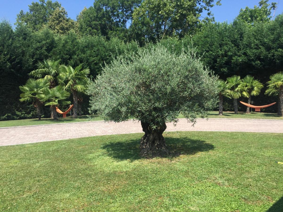 Villa Althea Ronago Exterior photo